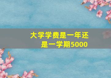 大学学费是一年还是一学期5000