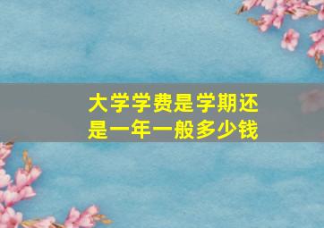 大学学费是学期还是一年一般多少钱