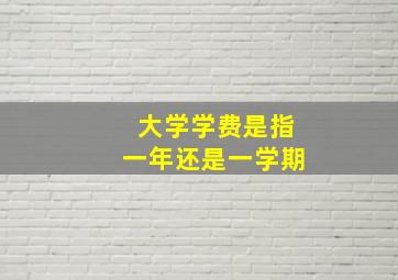 大学学费是指一年还是一学期