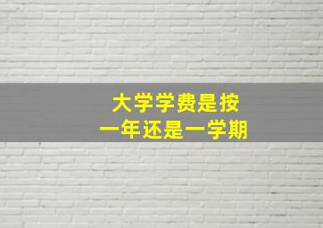 大学学费是按一年还是一学期