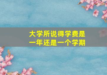 大学所说得学费是一年还是一个学期