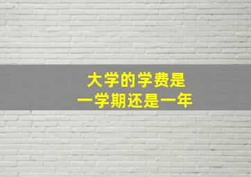 大学的学费是一学期还是一年