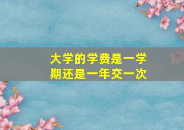 大学的学费是一学期还是一年交一次