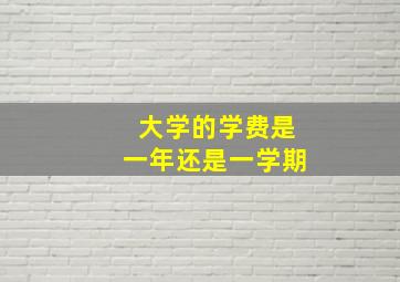 大学的学费是一年还是一学期