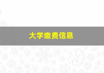 大学缴费信息