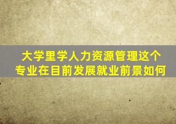 大学里学人力资源管理这个专业在目前发展就业前景如何