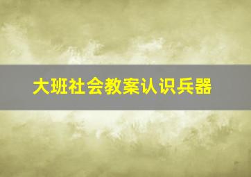 大班社会教案认识兵器