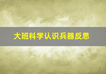 大班科学认识兵器反思