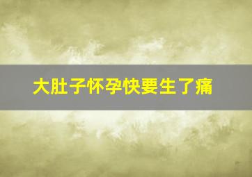 大肚子怀孕快要生了痛