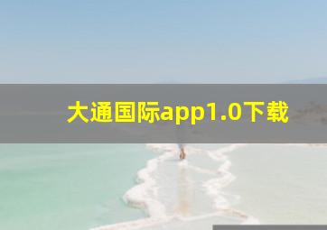 大通国际app1.0下载