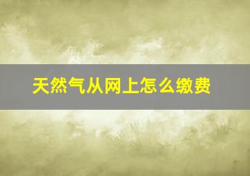 天然气从网上怎么缴费