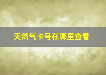 天然气卡号在哪里查看