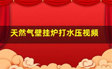 天然气壁挂炉打水压视频