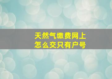 天然气缴费网上怎么交只有户号