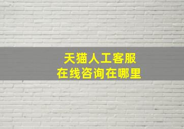 天猫人工客服在线咨询在哪里