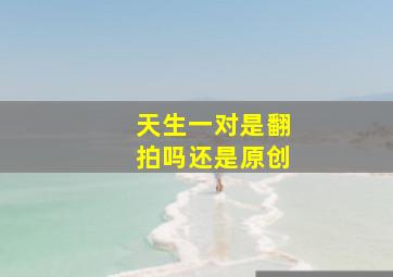 天生一对是翻拍吗还是原创