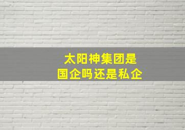 太阳神集团是国企吗还是私企