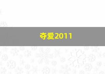 夺爱2011