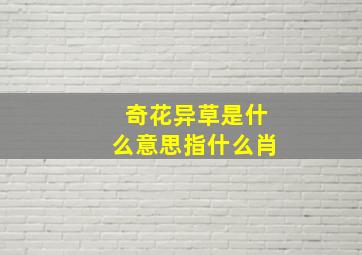 奇花异草是什么意思指什么肖