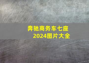 奔驰商务车七座2024图片大全