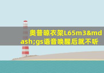 奥普晾衣架L65m3—gs语音唤醒后就不听