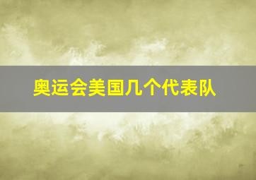 奥运会美国几个代表队