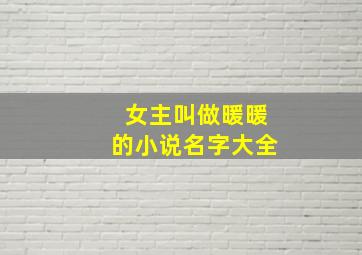 女主叫做暖暖的小说名字大全