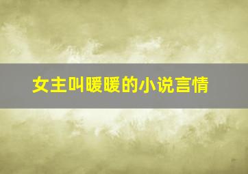 女主叫暖暖的小说言情