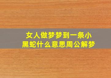 女人做梦梦到一条小黑蛇什么意思周公解梦