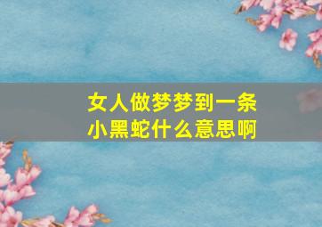 女人做梦梦到一条小黑蛇什么意思啊