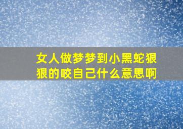 女人做梦梦到小黑蛇狠狠的咬自己什么意思啊