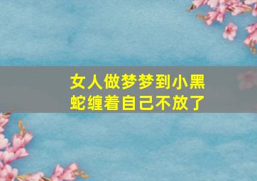 女人做梦梦到小黑蛇缠着自己不放了