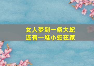 女人梦到一条大蛇还有一堆小蛇在家