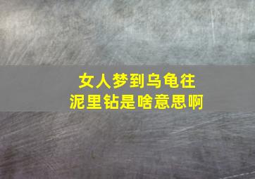 女人梦到乌龟往泥里钻是啥意思啊