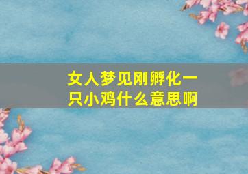 女人梦见刚孵化一只小鸡什么意思啊