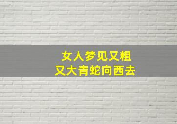 女人梦见又粗又大青蛇向西去