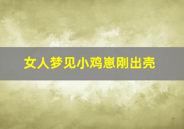 女人梦见小鸡崽刚出壳