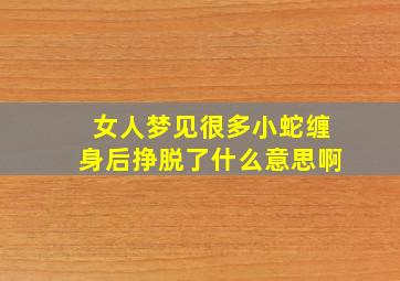 女人梦见很多小蛇缠身后挣脱了什么意思啊