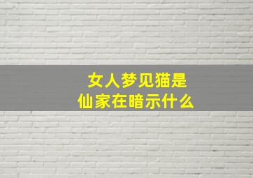 女人梦见猫是仙家在暗示什么