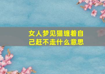 女人梦见猫缠着自己赶不走什么意思