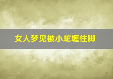 女人梦见被小蛇缠住脚