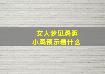 女人梦见鸡孵小鸡预示着什么