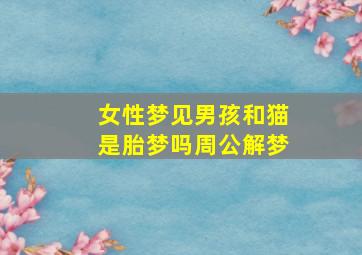 女性梦见男孩和猫是胎梦吗周公解梦