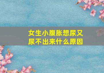 女生小腹胀想尿又尿不出来什么原因