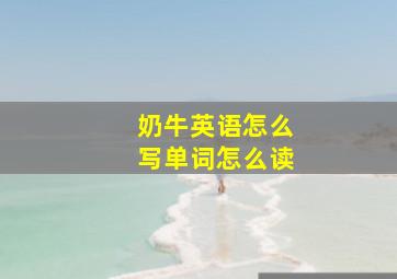 奶牛英语怎么写单词怎么读