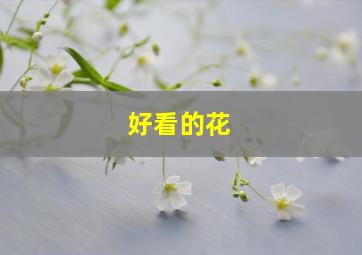 好看的花