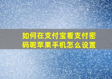 如何在支付宝看支付密码呢苹果手机怎么设置