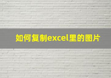 如何复制excel里的图片