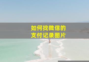 如何找微信的支付记录图片