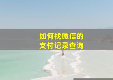 如何找微信的支付记录查询